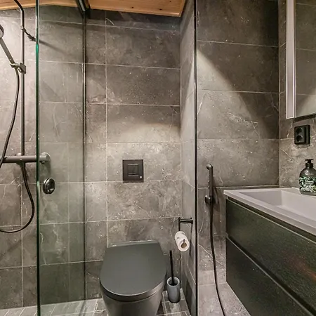 Daire Frozen Ski-in Ski-out By Aavalevi