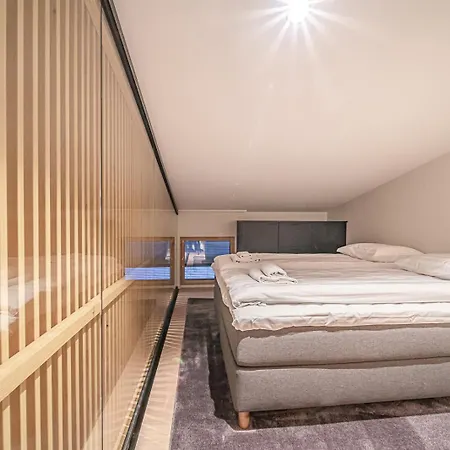 Frozen Ski-in Ski-out By Aavalevi *