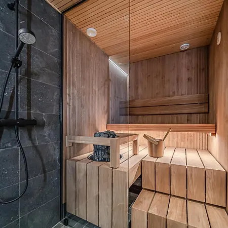 Frozen Ski-in Ski-out By Aavalevi Levi