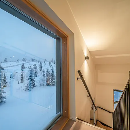 Frozen Ski-in Ski-out By Aavalevi