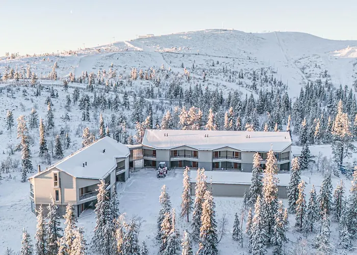 Appartement Frozen Ski-in Ski-out By Aavalevi