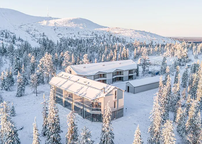 Frozen Ski-in Ski-out By Aavalevi Appartement *