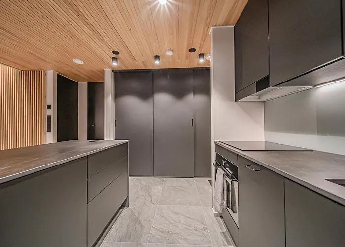 Appartement Frozen Ski-in Ski-out By Aavalevi Levi