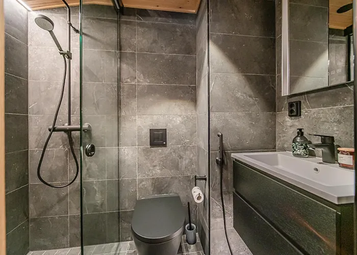 Appartement Frozen Ski-in Ski-out By Aavalevi