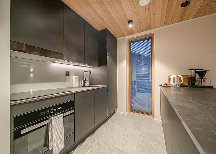 Frozen Ski-in Ski-out By Aavalevi Appartement *