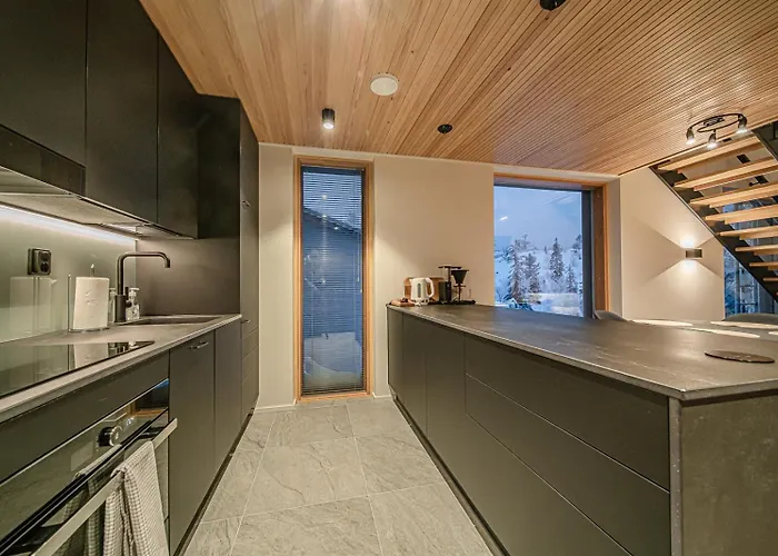 Appartement Frozen Ski-in Ski-out By Aavalevi Levi