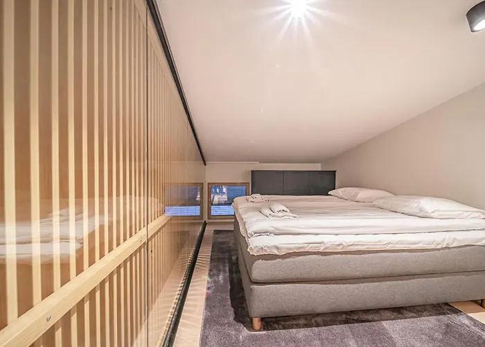 Frozen Ski-in Ski-out By Aavalevi *