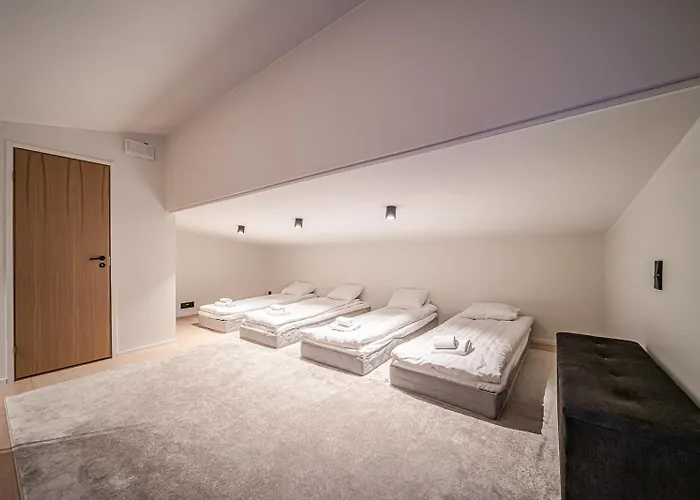 Frozen Ski-in Ski-out By Aavalevi Appartement