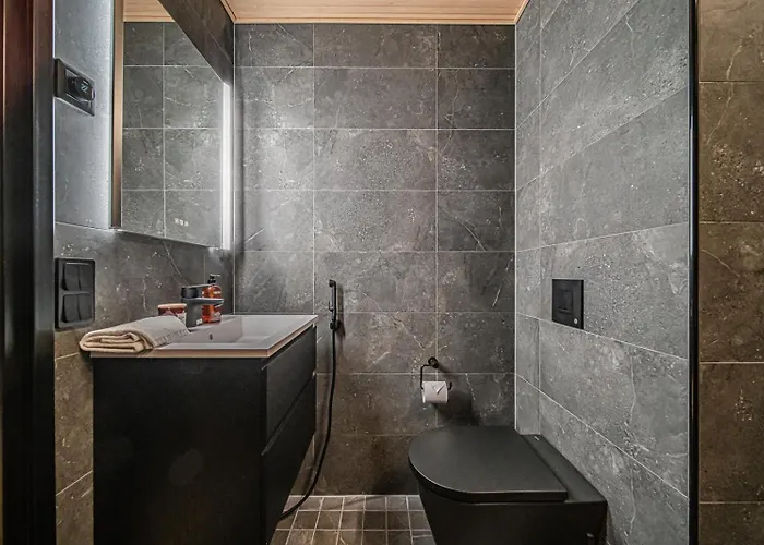 Frozen Ski-in Ski-out By Aavalevi Appartement Levi